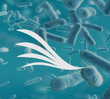 GeneCreek's tweet photo. @MicrobiomeJ Launching our 16S rRNA Profiling offer https://t.co/dS4InNCEJG at 2nd Translational Microbiome Boston https://t.co/8wg7A00cK3
