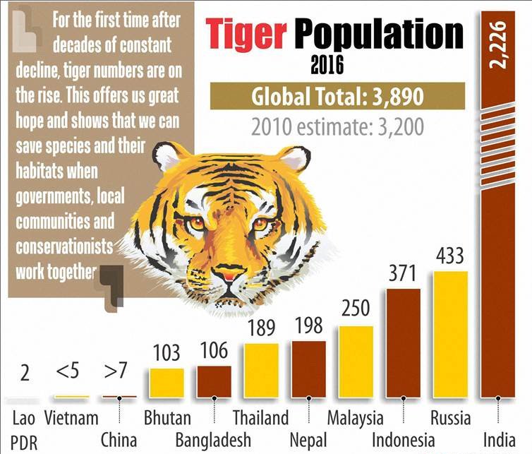 JharnaResort's tweet photo. There is a good news for wildlife lovers.India now has 70 percent of world’s tiger popultion https://t.co/cnZXbZC0BQ https://t.co/II9LFnDr4j