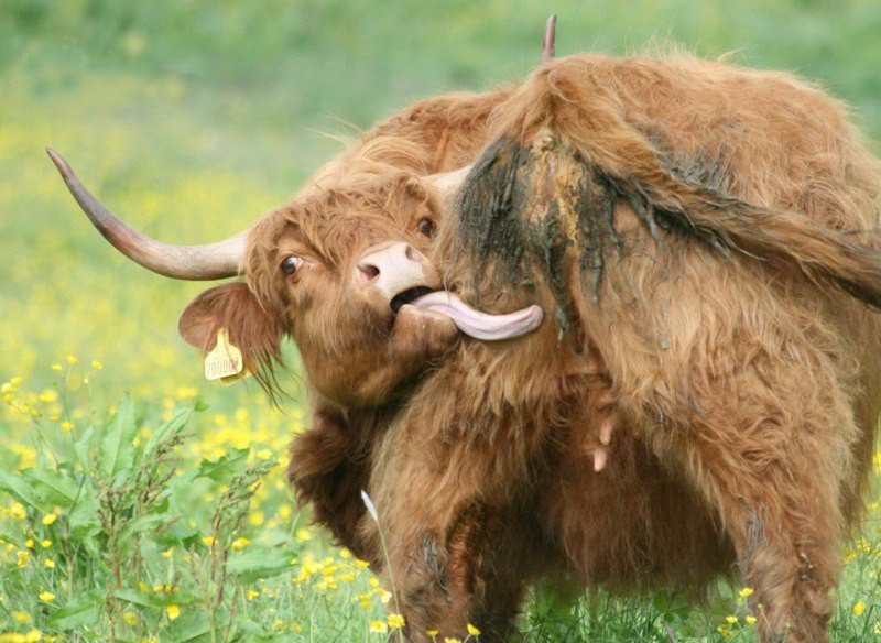 instanthaha's tweet image. Join our crazy FB Group facebook.com/groups/instant… and become a part of our funny community :) ENJOY!