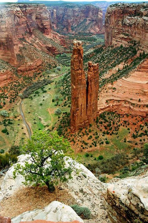 Swaappex's tweet image. Spider Rock: Canyon de Chelley, Arizona by #tablettraining 🤗#SwaappEx #travelmoney #app #p2p swaappex.com