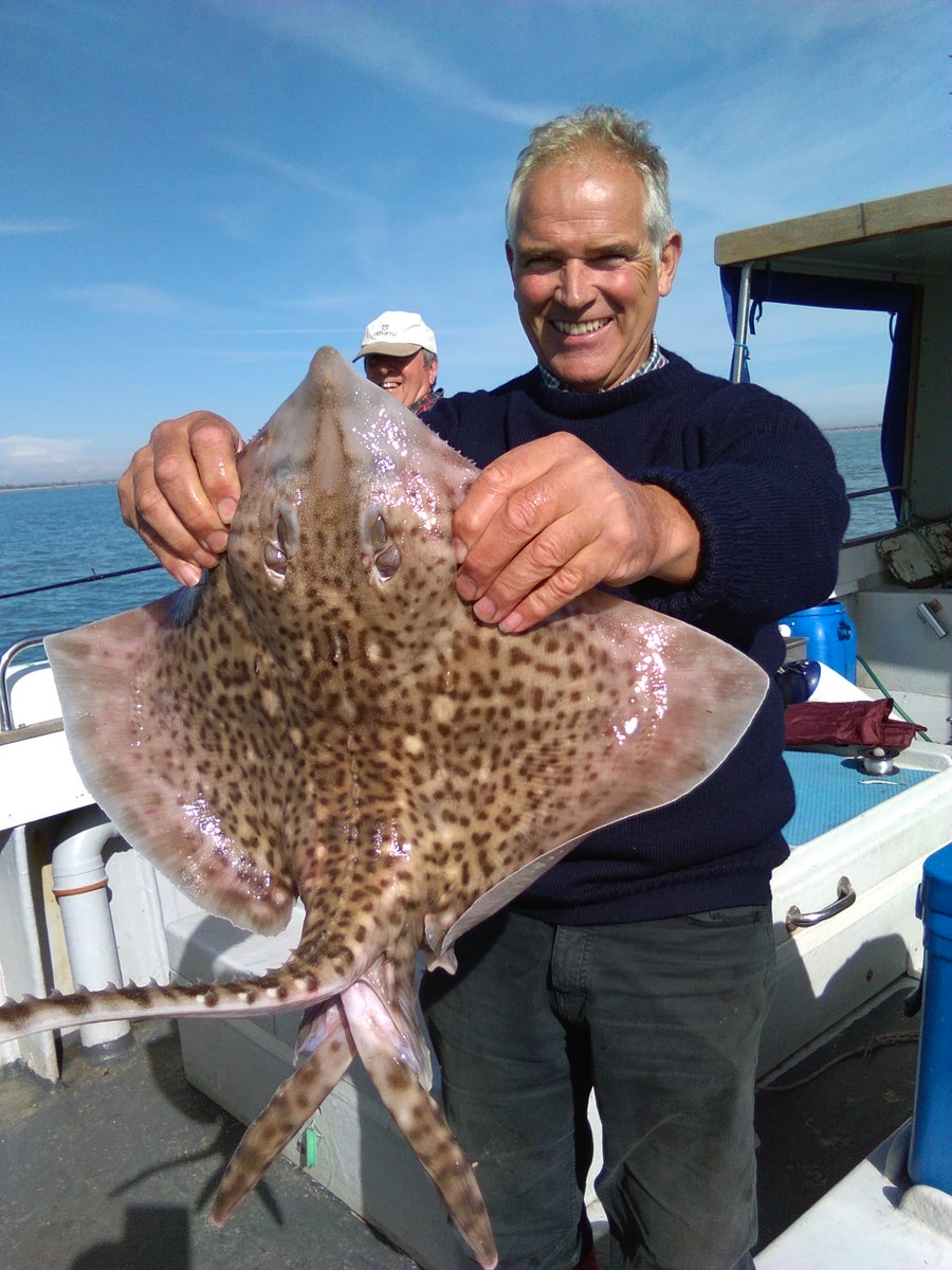 Something Fishy tweet media
