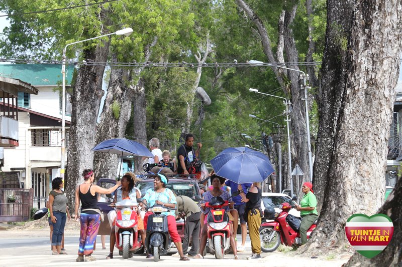 De makers van Sneekweek zijn druk bezig met hun nieuwe film. Volg Tuintje in mijn hart hier: bit.ly/20DMr7p