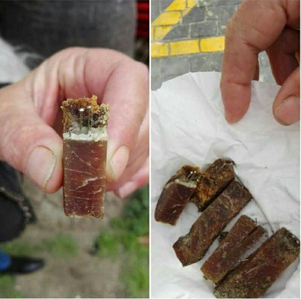 guardiacivil's tweet photo. #Colabora si conoces al 💀💀💀 que puso comida con alfileres para herir perros en Estepona #Málaga
📞062
📞112 https://t.co/Bjv1XoyvA4
