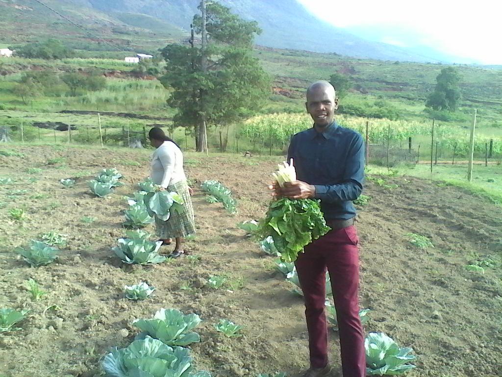 The_NECT's tweet photo. Parents, learners and teachers @NdzongiseniJSS work their veg garden to grow food #Collaboration #NECT101 #MtFrere https://t.co/avCm7yiioR