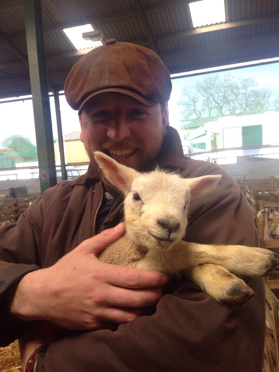 GingerPigLtd tweet picture