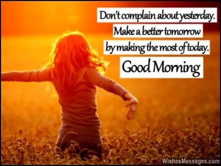 Rad_insan's tweet photo. @Gurmeetramrahim #MSGblessings https://t.co/1p3YexDnma