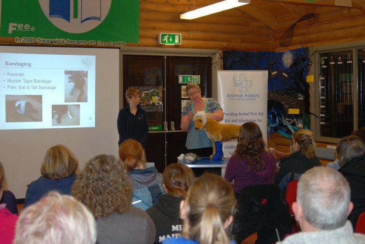 GoodVetPetGuide's tweet photo. .@animalaiders have first aid courses for #cats #dogs #horses available all over the UK https://t.co/2jo26lKG66 https://t.co/GoAvQWVEUU