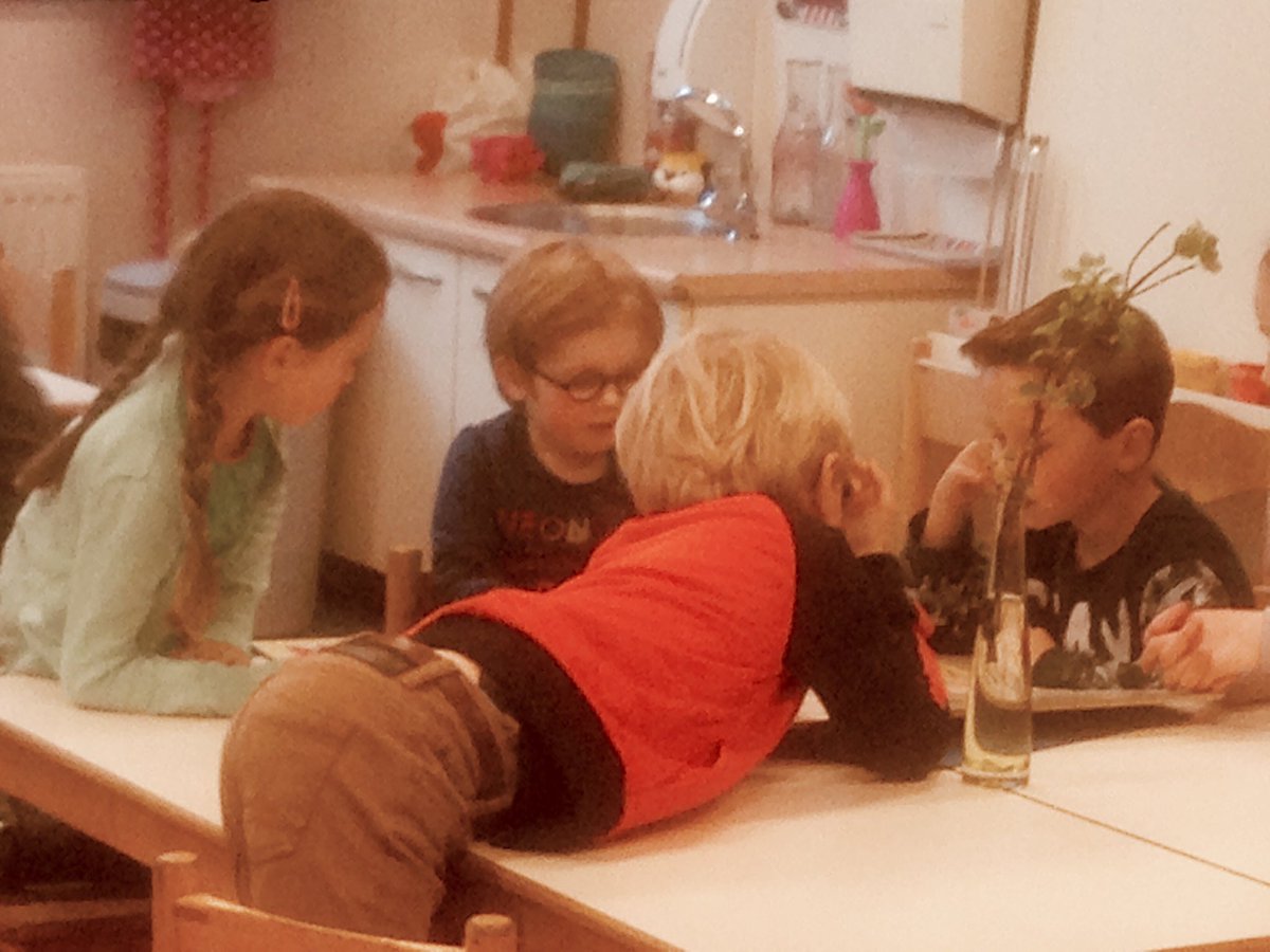 EstherSpikmans's tweet photo. Rijk geeft aan zijn klasgenootjes uitleg over de werking van het menselijk lichaam #grootapothekersboek 💙 https://t.co/lvf8J0PqO2