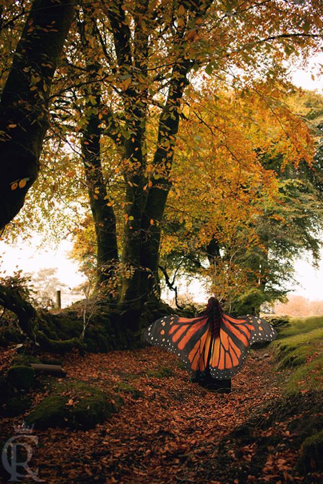 arteideorg's tweet photo. Ethereal Scarves By El Costurero Real Let You Wrap Yourself in the Beautiful Wings of a Butterfly https://t.co/3IkSeypg07