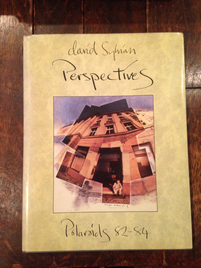 デヴィッド・シルヴィアン　ポラロイド写真集 デヴィッド・シルヴィアン ポラロイド写真集