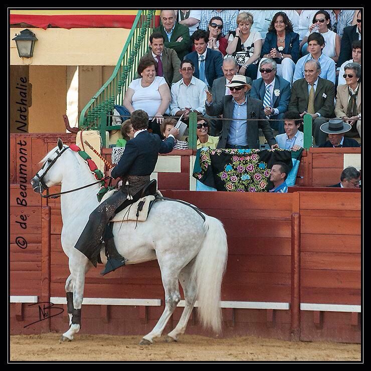FermnBohorquez's tweet photo. Me acuerdo mucho de ti, eres el más grande. . . "Moraito Chico" https://t.co/cbAUrXcvYM