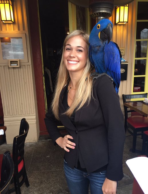 YOU'RE MY BOY BLUE! https://t.co/mNbmDggizg<a href="/tag/teacupyorkie"class="tags"><span>#teacupyorkie</span></a>