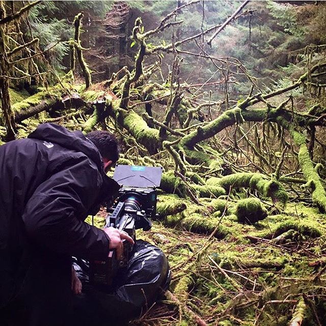 brighttangerine's tweet photo. Where you find green, you'll always find some Tang. TheFilmStore using our Viv5 in "Eden" #amira #cinesaddle #canon https://t.co/DbjN1uH2sP