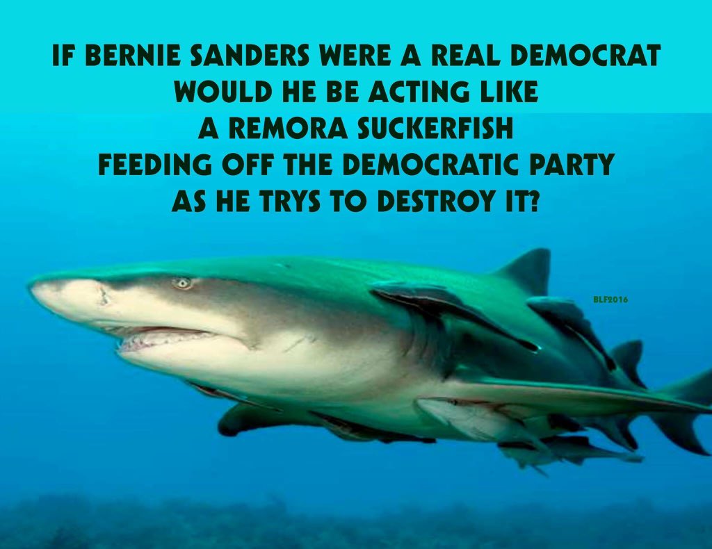 mauimayde's tweet image. What are you hiding Bernie? Release your taxes! Why is your wife being investigated for embezzling? #NotYourToken