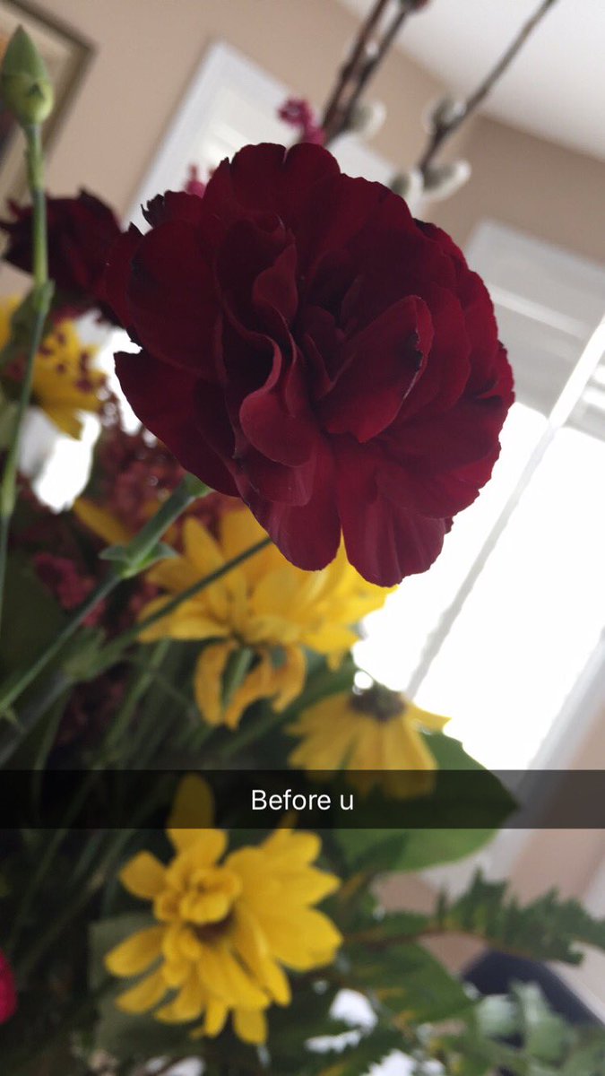 weeditCA's tweet image. Life with a Fuckboy.