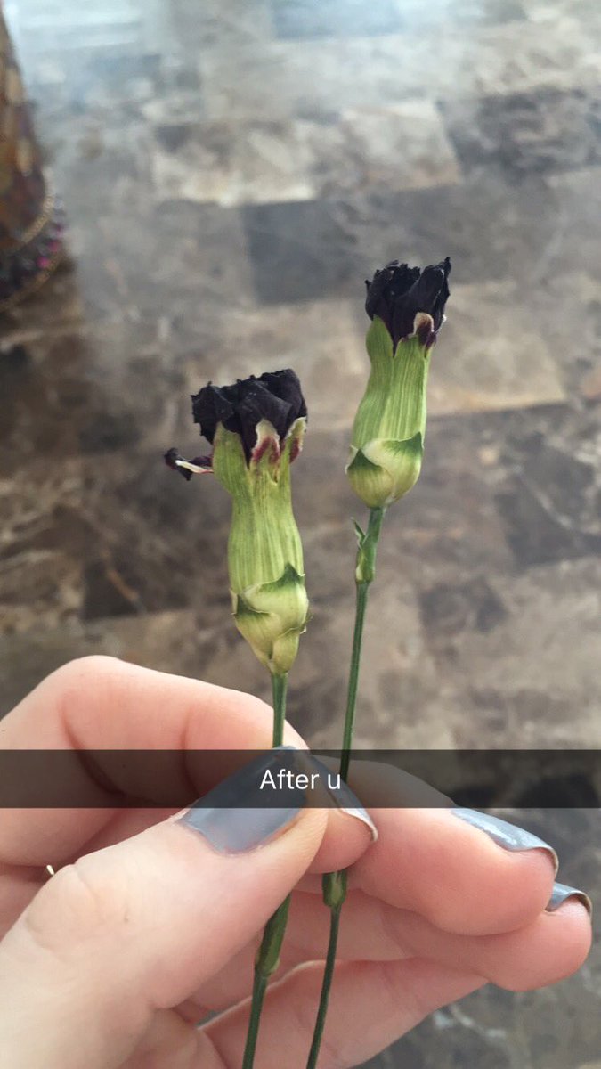 weeditCA's tweet image. Life with a Fuckboy.