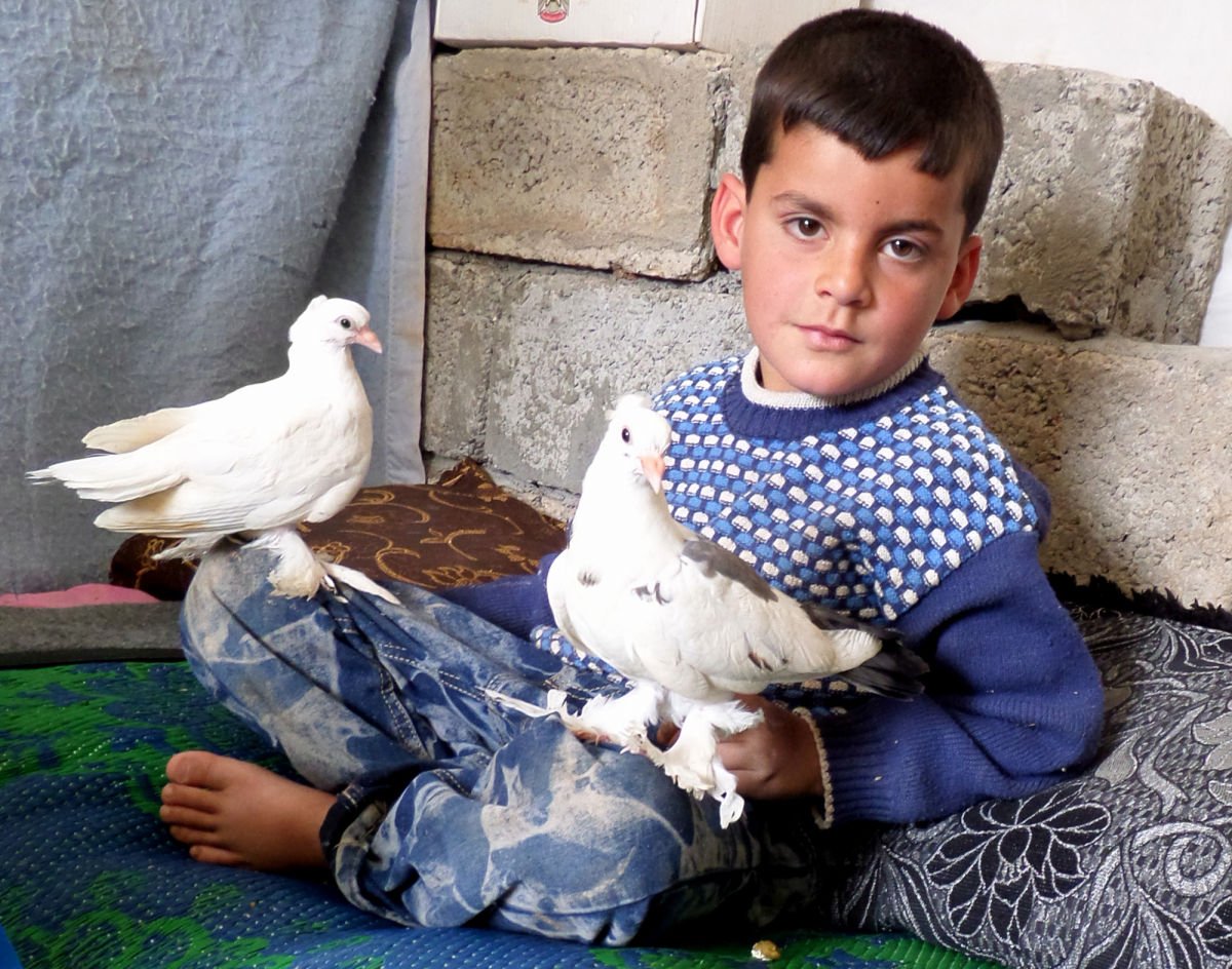 NewYorker's tweet photo. Many children growing up in the war zones of Iraq face long-term biological consequences: https://t.co/icHYDOyugK https://t.co/f9jG3oQAt3