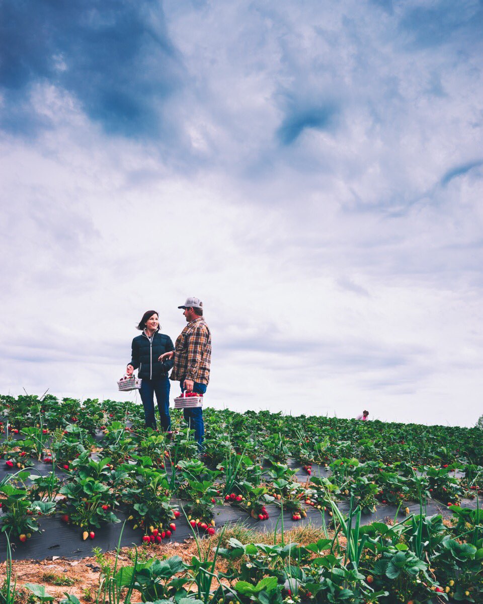 Spent our morning field side with our farmer friends. Happy strawberry season from Witt Farm! #eattheham