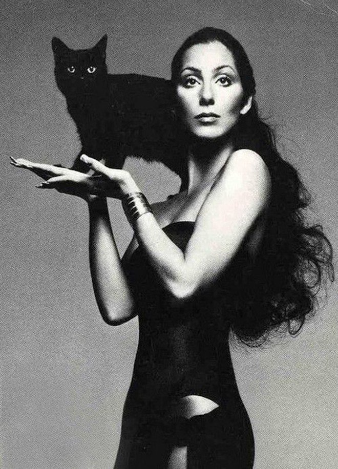 richardhine's tweet photo. The Cat &amp; Cher in the Rye #CatBooks @midnight https://t.co/4BaGzNaxxH