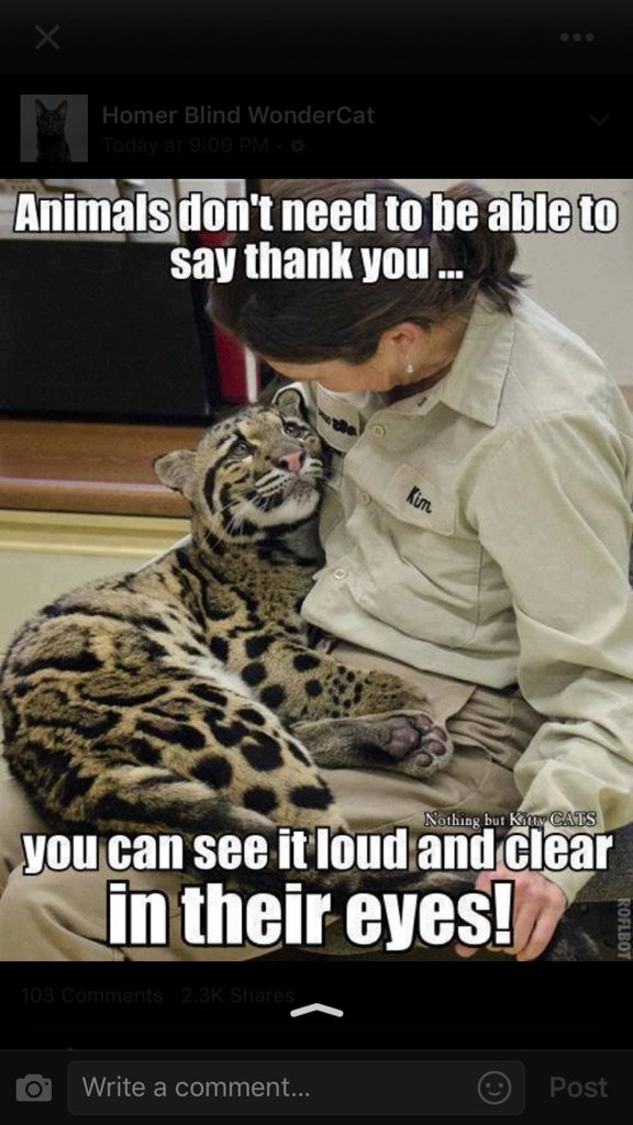 Facebook Gemz tweet media