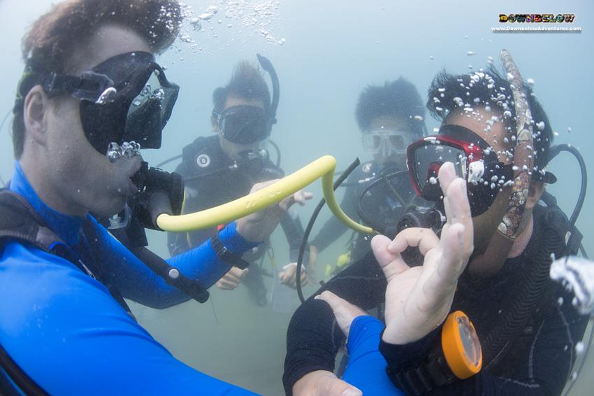 divedownbelow's tweet photo. #AlternateAirSourceSkill #OpenwaterPresentations @divedownbelow #AlmostDiveInstructor @PADI https://t.co/ITciHIHVGA https://t.co/ywjsudU4uL