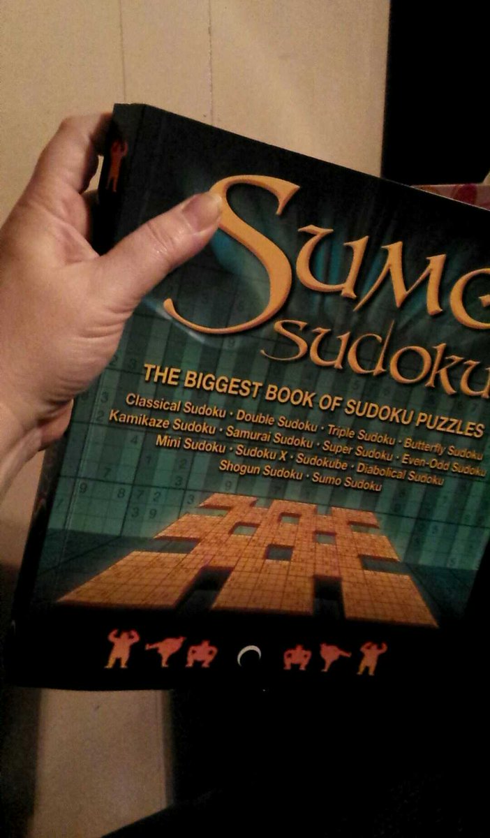 ChantalRatte's tweet photo. Loving my little 500-page Sudoku book while watching the snow fall 🌜❄ #snowynight #sudoku https://t.co/GfZH9RUCqZ