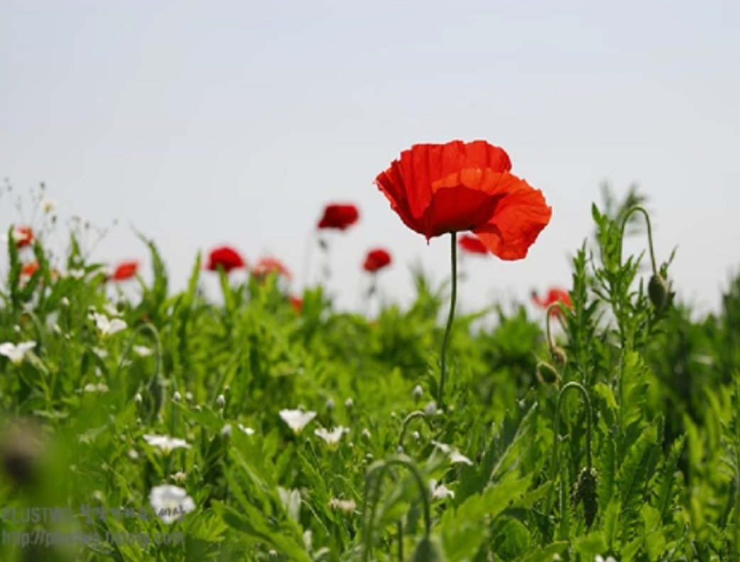 band.us/#!/band/591273…