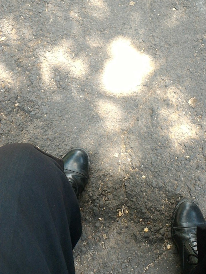 maderaguse tweet picture