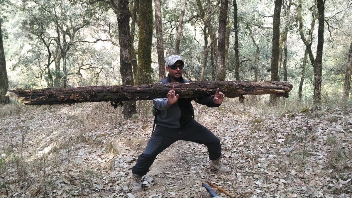 ShaolinTempleIn's tweet photo. More Qi Train harder Shaolin Gurukul India https://t.co/Z1fMwwDv8u
