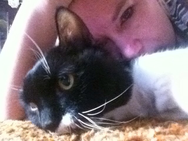 LoganKittyCat's tweet photo. I miss you Logan! https://t.co/yznyjmTcca
