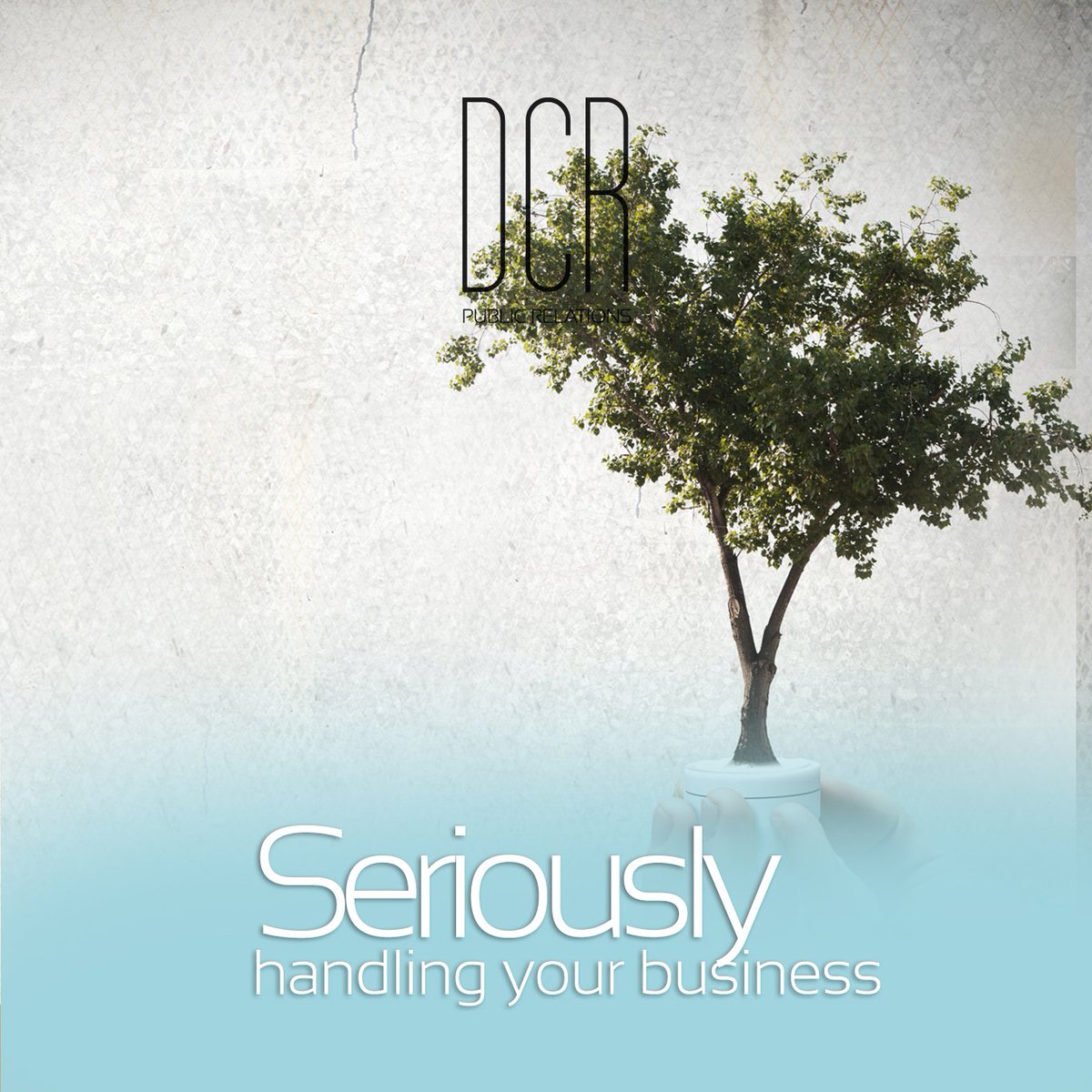 DCRPR_COM's tweet image. 