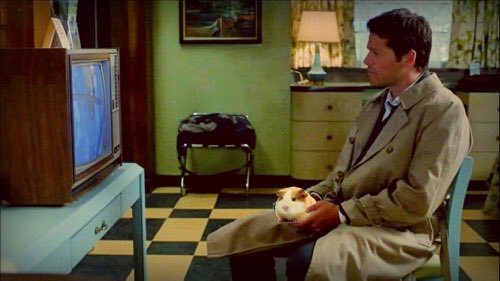 *Sits quietly watching some TV with my fury friend*