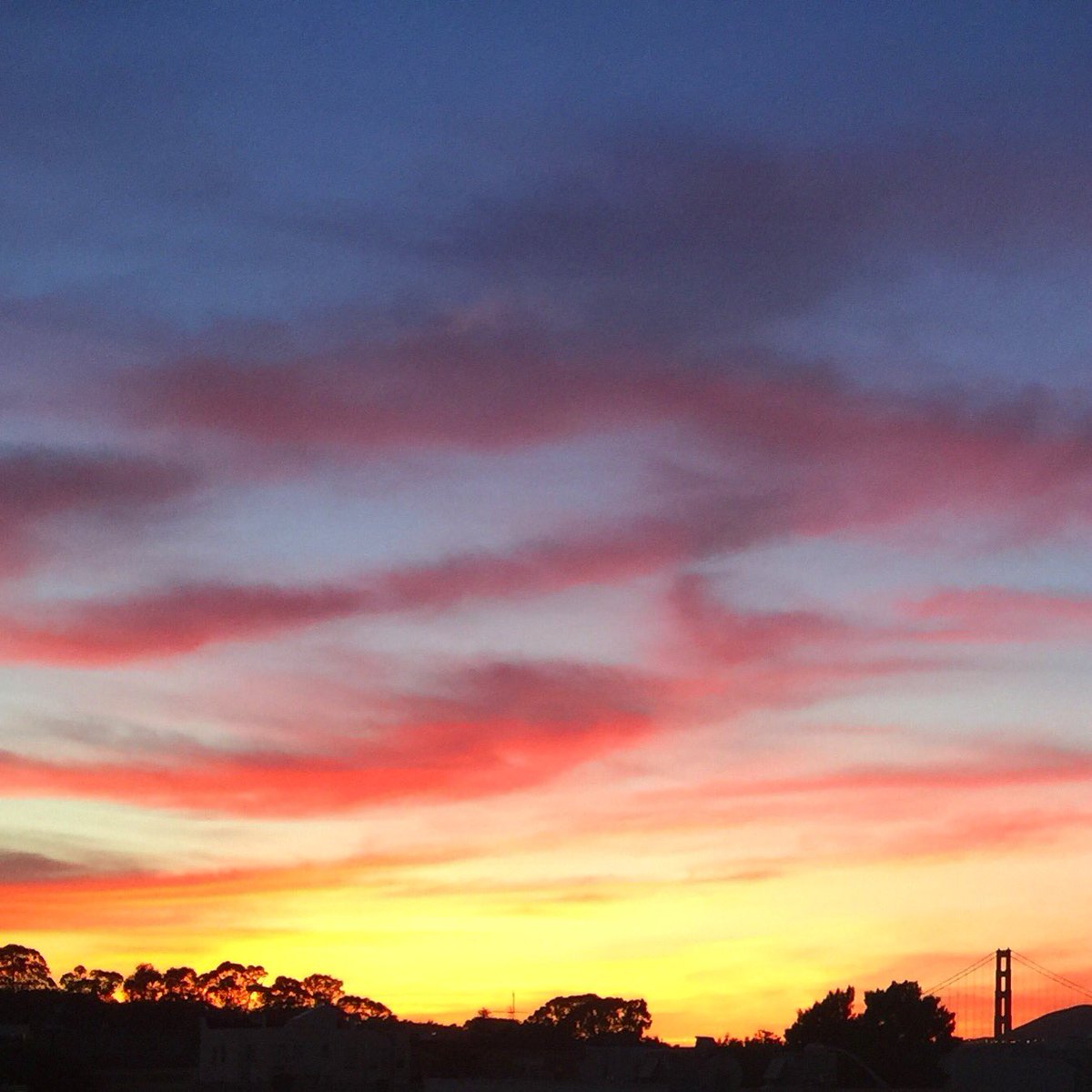 ToriPattonSF's tweet photo. @BillMartinKTVU Stunning sunset tonight from the Marina in San Francisco. The best I've seen in years! https://t.co/Vzxn0aV0Er