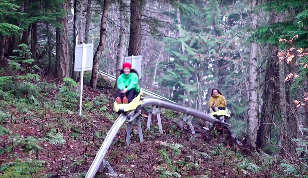 ImrunMallik's tweet photo. mashable : British Columbia resort adds mountain coaster for summer fun … https://t.co/0MHuRkJXaC) https://t.co/H61VIFDtka