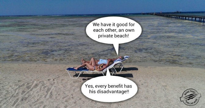 translationking's tweet image. Fijne avond!