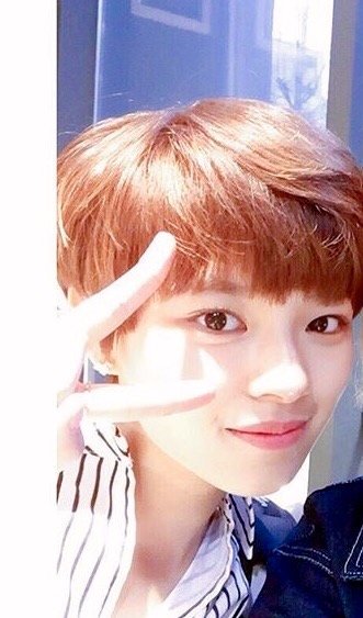 비슷한 헤어스타일의 트와이스 유정연-비투비 육성재 | 인스티즈