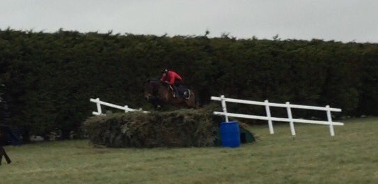 jamiesnowden's tweet image. With 4 reserves #PresentView misses the cut for #GrandNational by one! #Aintree2016 @brendanp1995 #NextYear