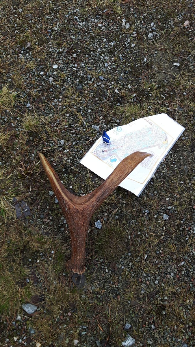 Kevät on vasonnan aikaa. #suunnistus #victory