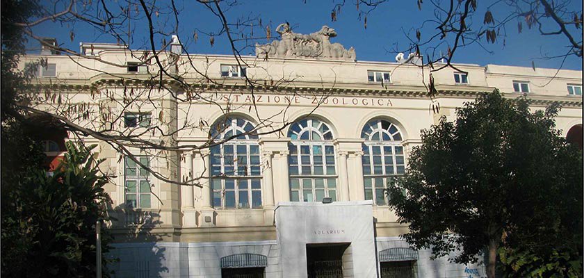 #Concorso #Progettazione ricostruzione ex biblioteca stazione zoologica A. Dohrn <a href="/SznDohrn/">Stazione Zoologica Anton Dohrn</a> fondazionearching.it/web/guest/-/co…