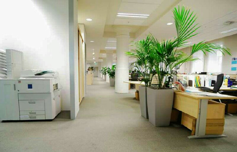 EdiClng's tweet photo. Look at this sparkling office..we're ready for your calls! #Freequotations #cleaningservices #edinburgh #brilliant https://t.co/cOh9bKSU8h