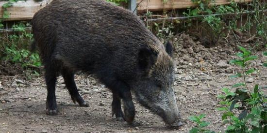 Aggiornamento #Martin. goo.gl/ykgg6B Questo mondo è di tutti senza distinzioni specie.