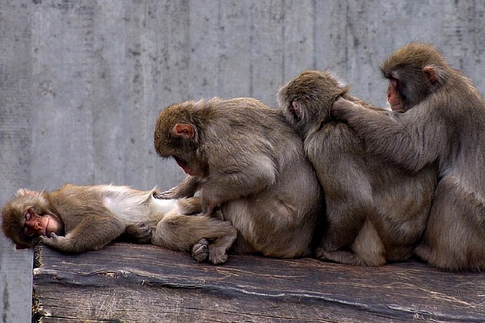 Spettacolo dal vivo #bandi &amp;requisiti. Li hanno tutti? <a href="/DAggioli/">Dario Aggioli</a> <a href="/AldoMorto54/">Daniele Timpano</a> <a href="/teatridivetro/">teatridivetro</a> klpteatro.it/spulciando-ban…