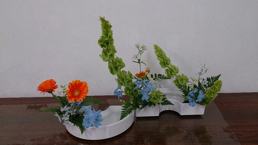 julia36J's tweet photo. The one-row form (multisided): moluccella, garbera, delphinium and leather fan. 2 kyu kenkyu kai. #ohararyu https://t.co/lGUYF1ie4C