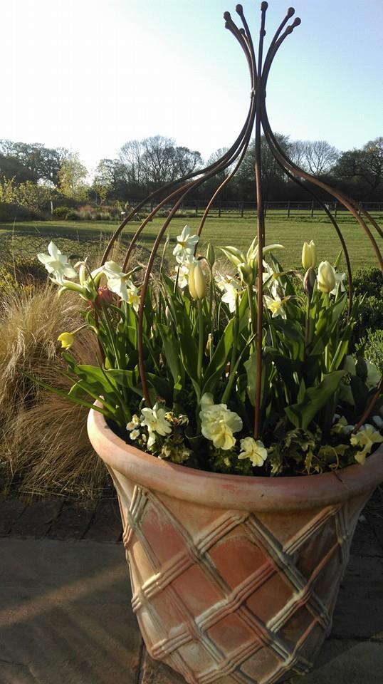 chasing_arcadia's tweet photo. 'Oh, to be in England, now that April's there...' #springflowers  https://t.co/GU8SYErlLV https://t.co/RPfYUUEU5V
