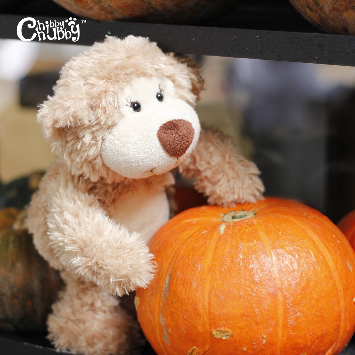 Let's be friends forever and #bringthehappiness together with Chloe.