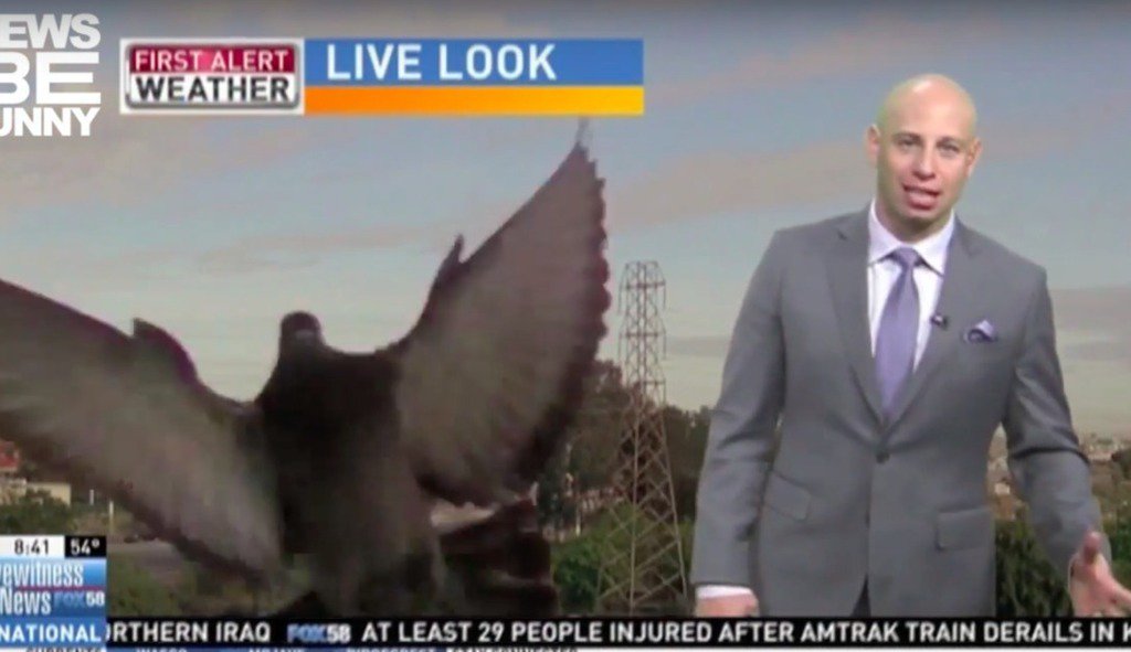 ImrunMallik's tweet photo. mashable : The local news is an endless source for hilarious news bloopers … https://t.co/s2jkGwMHvW) https://t.co/PQoO3Zc1hM
