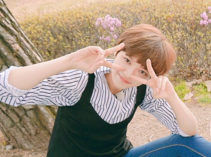 [트와이스] 꽃채영,꽃사나,꽃정연 | 인스티즈