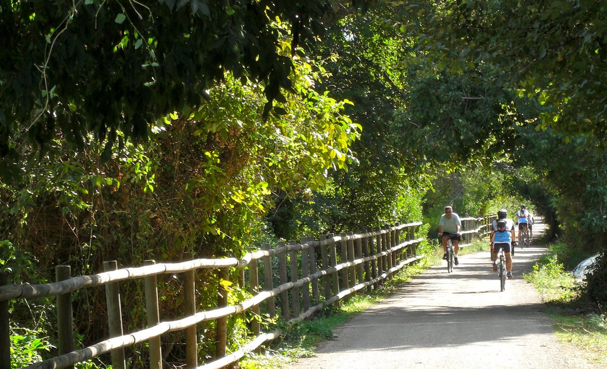 ViaVerdaEbre's tweet photo. Canviem els túnels per l'Assut, el Canal i sobretot, els tarongers, entre #xerta i #aldover #baixebre #viaverdaebre https://t.co/qrDPovga9u
