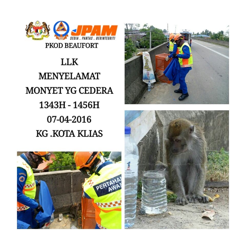 JPAM Beaufort tweet media