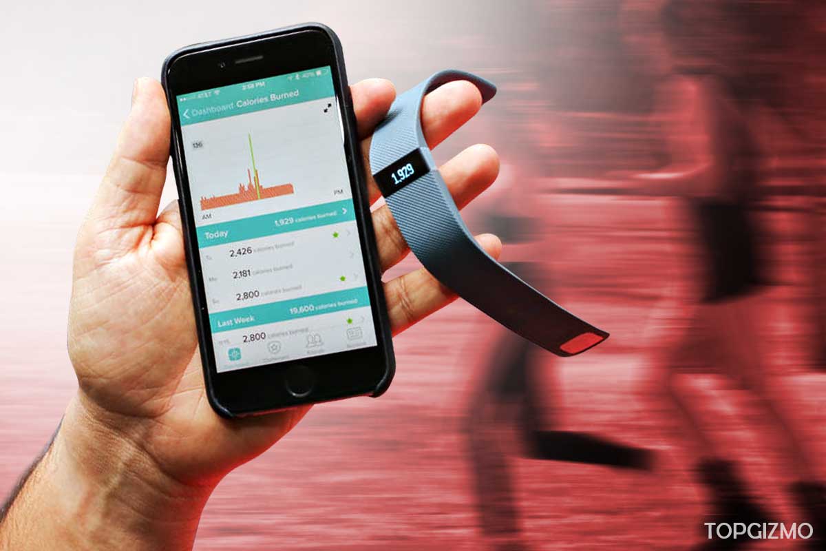 Fitbit Won